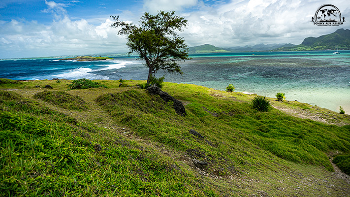 Insel