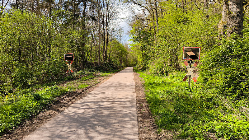 SauerlandRadring